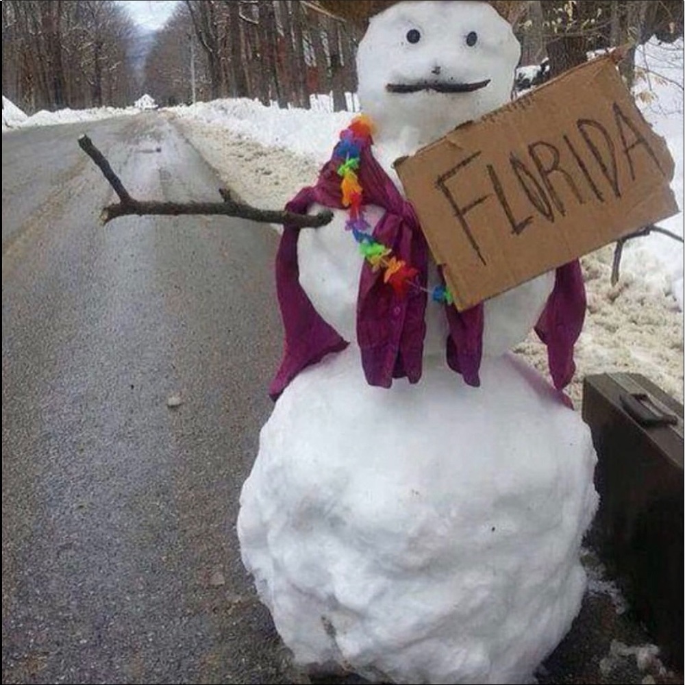 Warm Fuzzies